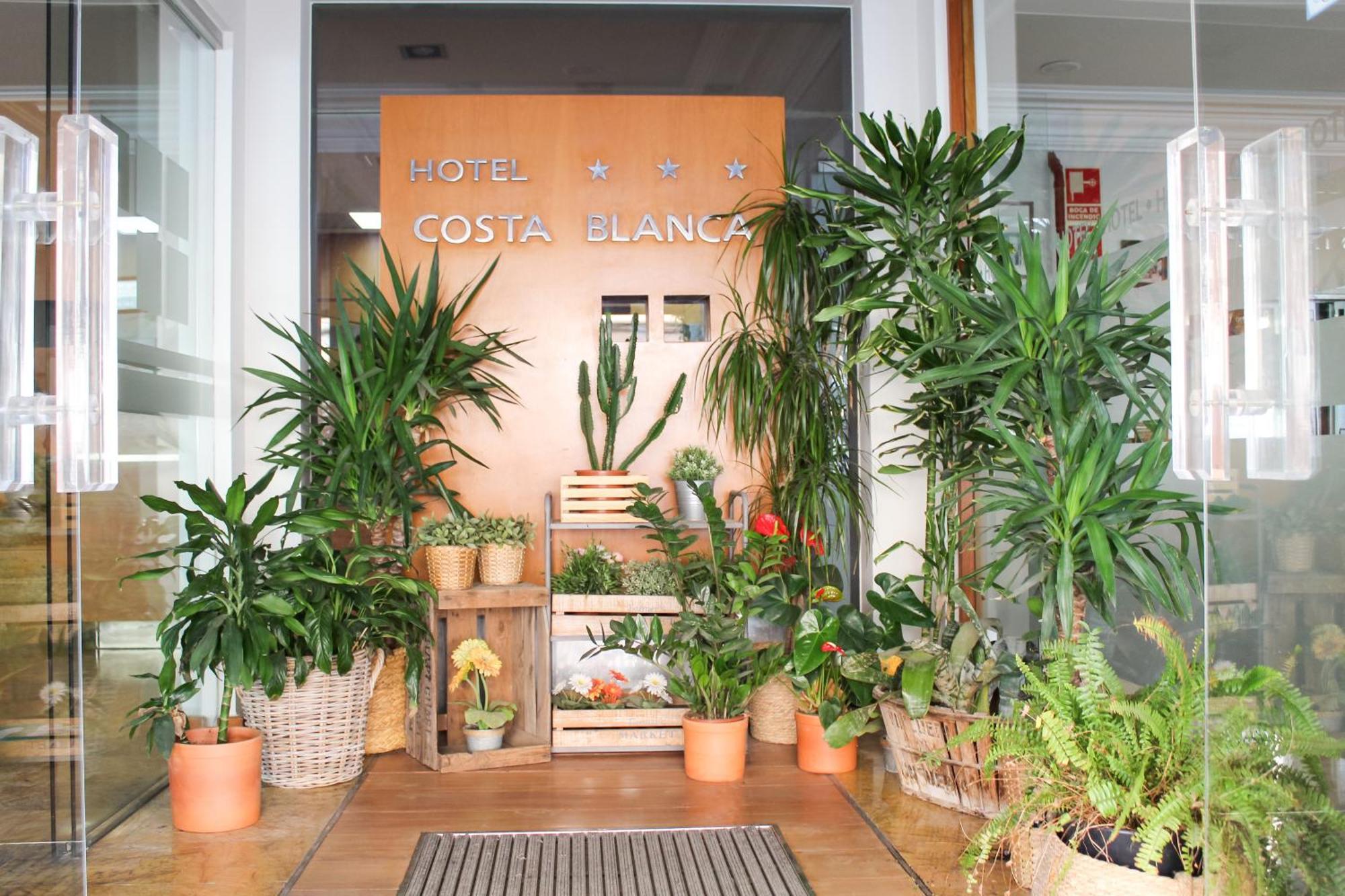 Hotel Mr Costa Blanca Denia Exteriér fotografie